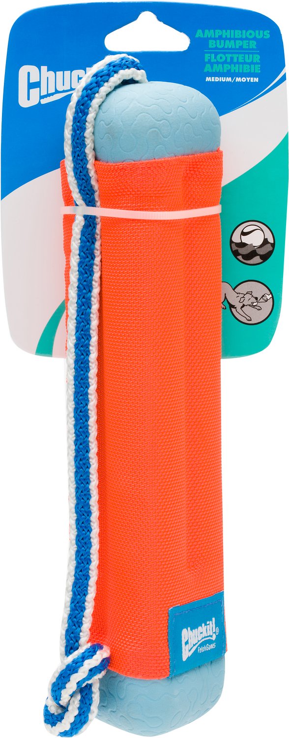 pet-18300.jpg